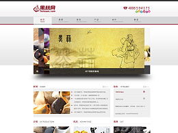 moorel的主頁 Zcool網(wǎng)頁制作的藝術與創(chuàng)新